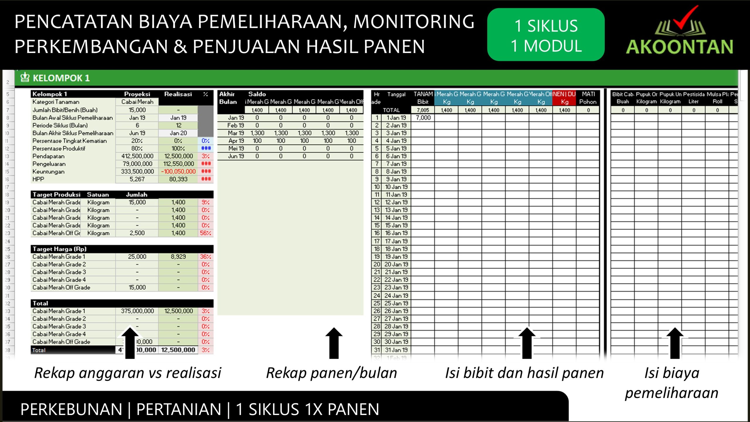 Manajemen Keuangan Budidaya - 1 Siklus 1 Panen