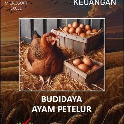 Manajemen Keuangan Budidaya Ayam Petelur