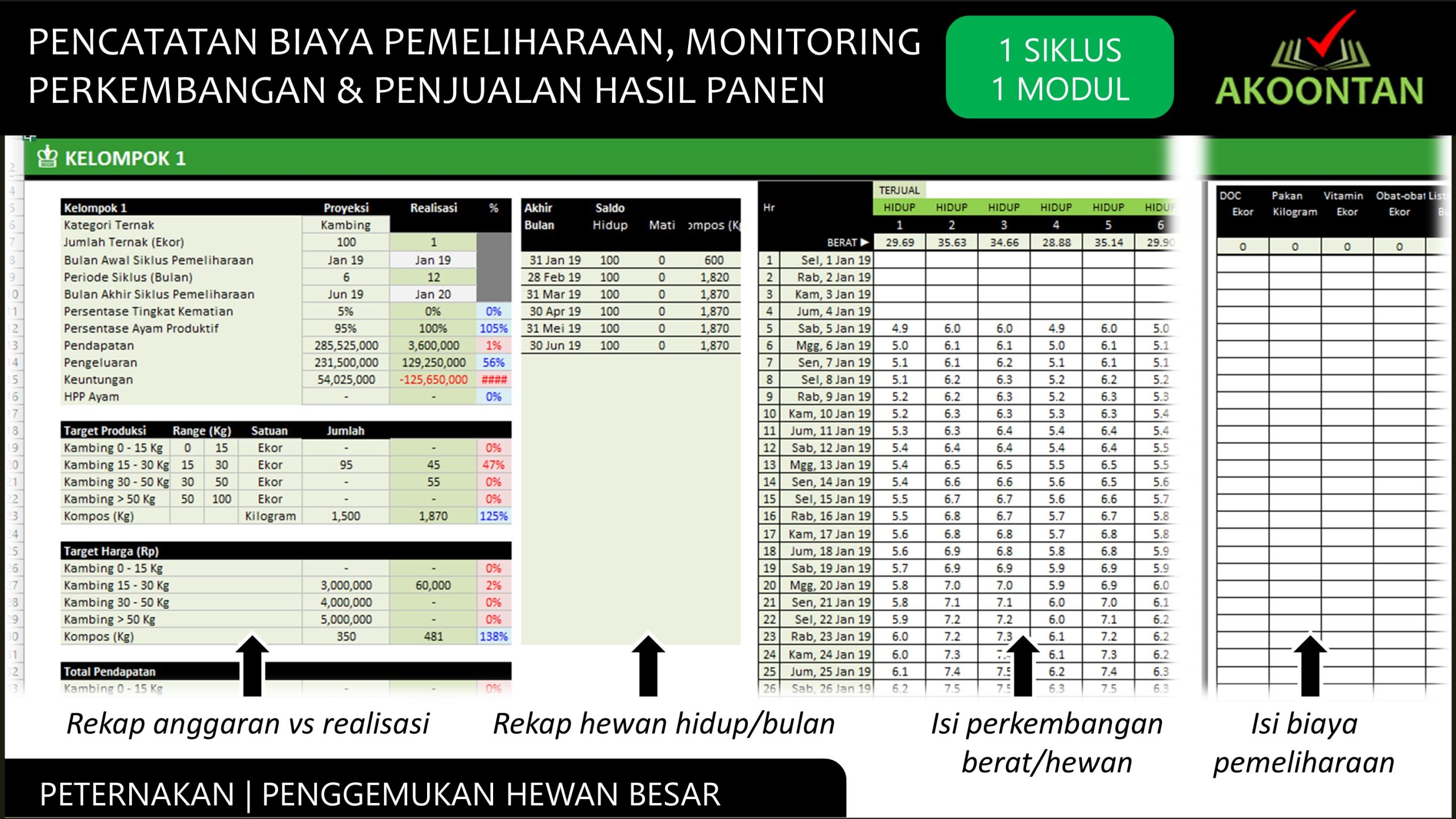 Manajemen Keuangan Budidaya - Penggemukan Hewan