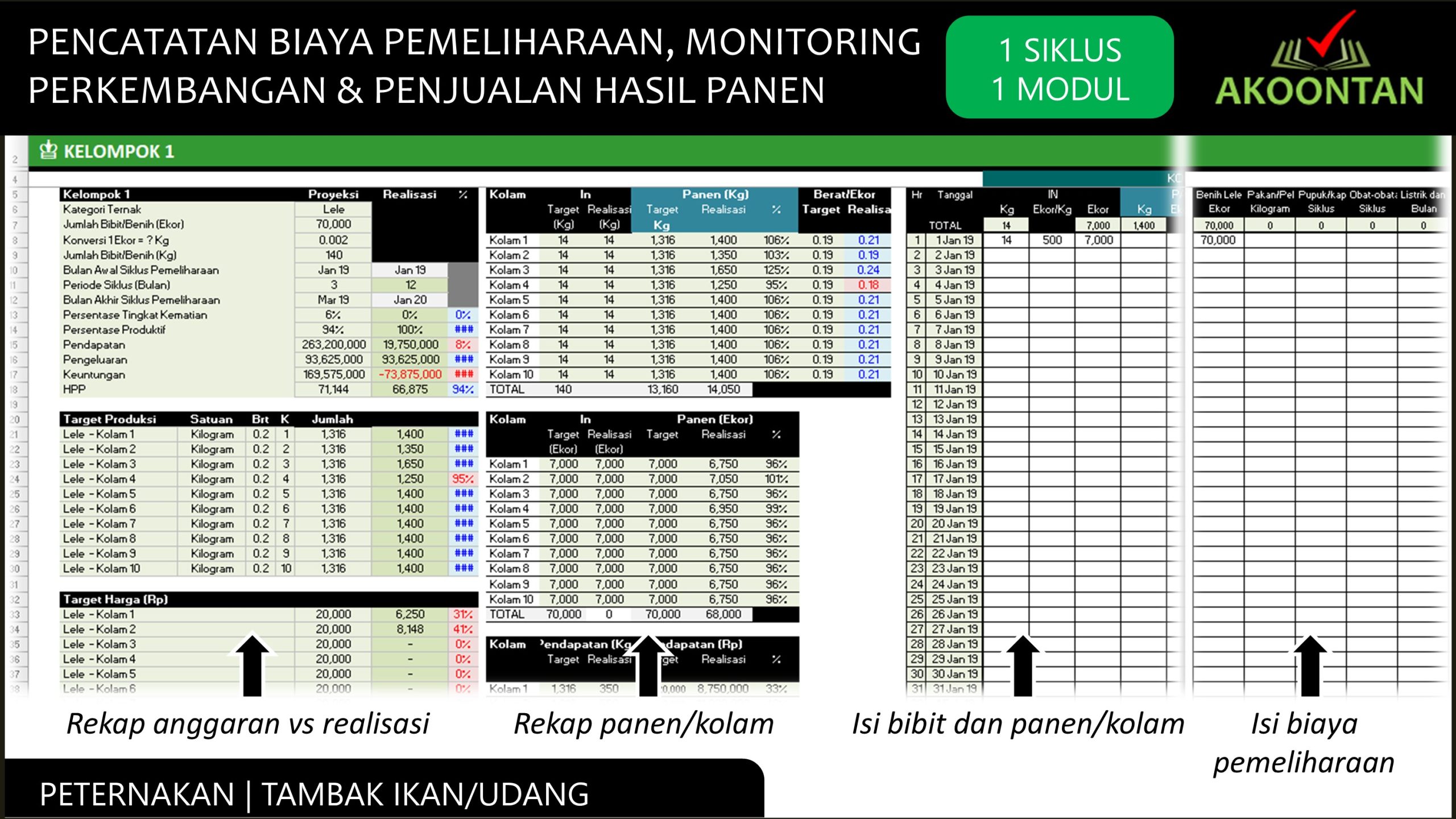 Manajemen Keuangan Budidaya - Tambak Ikan Udang