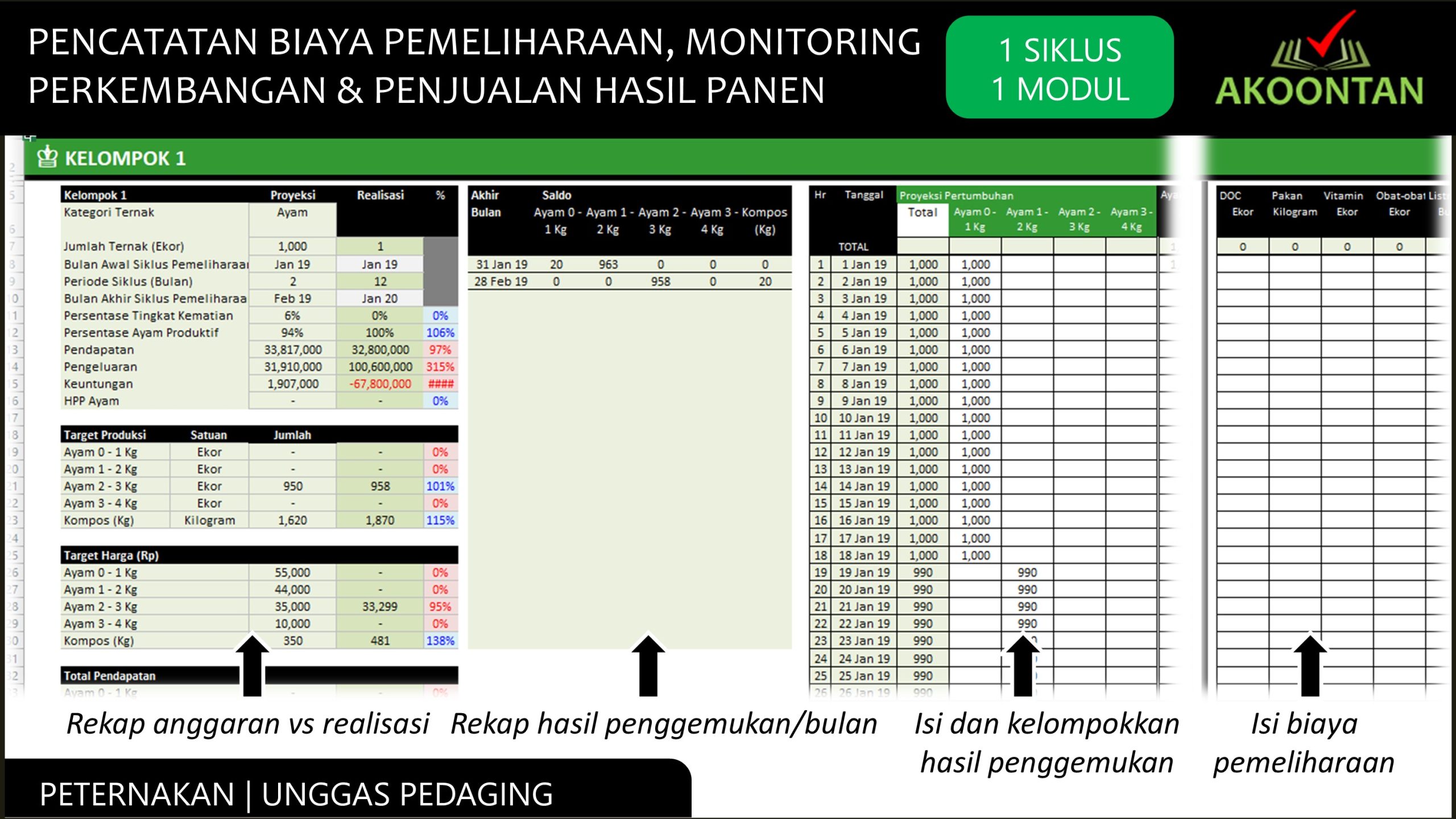 Manajemen Keuangan Budidaya - Unggas Pedaging