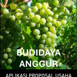 Proposal Usaha Budidaya Anggur