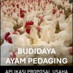 Proposal Usaha - Analisa Usaha Budidaya Ayam Pedaging