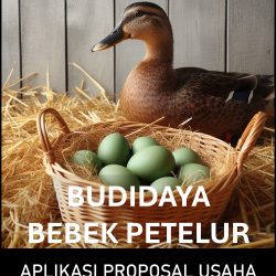Proposal Usaha dan Analisa Usaha Budidaya Bebek Petelur