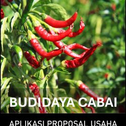 Proposal Usaha dan Analisa Usaha Budidaya Cabai