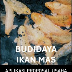 Proposal Usaha dan Analisa Usaha Budidaya Ikan Mas