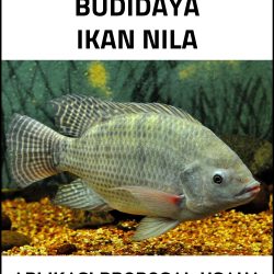 Proposal Usaha Budidaya Ikan Nila