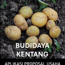Proposal Usaha Budidaya Kentang