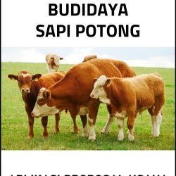 Proposal Usaha dan Analisa Usaha Ternak Sapi Potong