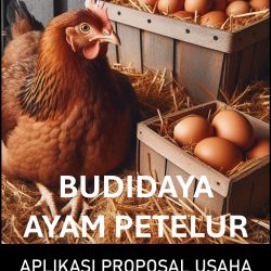 Proposal Usaha dan Analisa Usaha Ternak Ayam Petelur